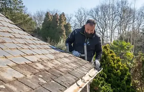 démoussage Arthon-en-Retz-1