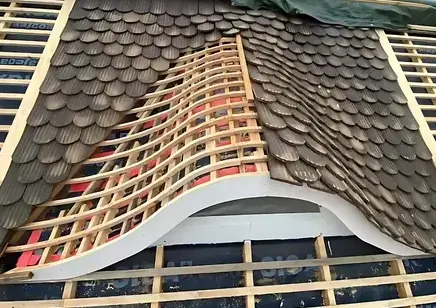 démoussage à Arthon-en-Retz - image 3