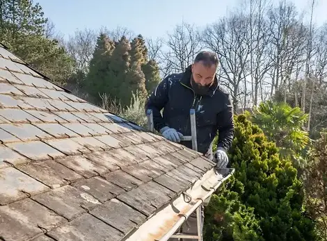 démoussage de toiture Bourgneuf-en-Retz-1