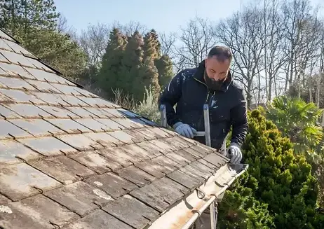 démoussage à Saint-Brevin-les-Pins - image 4