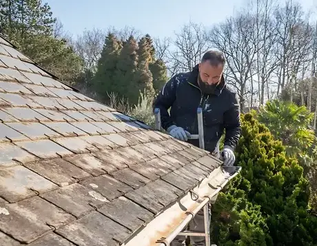 démoussage Saint-Michel-Chef-Chef-1