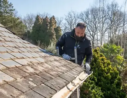 nettoyage toiture à Saint-Brevin-les-Pins - image 2