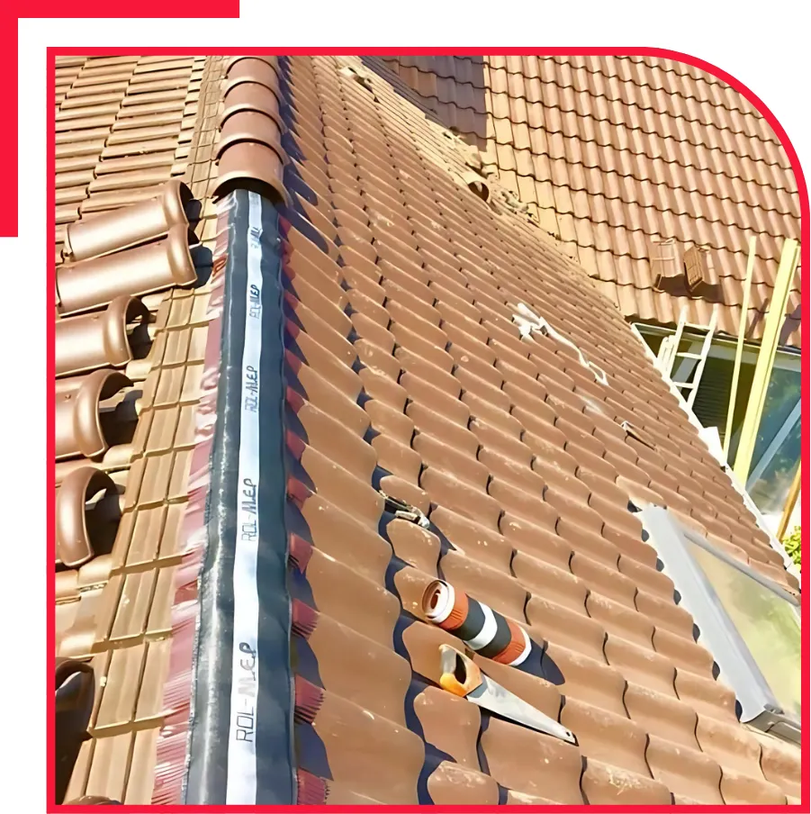 nettoyage toiture saint etienne de montluc