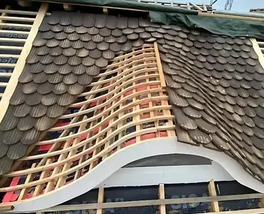 pose de velux Bouée-1