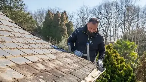 pose de velux Saint-Michel-Chef-Chef-5