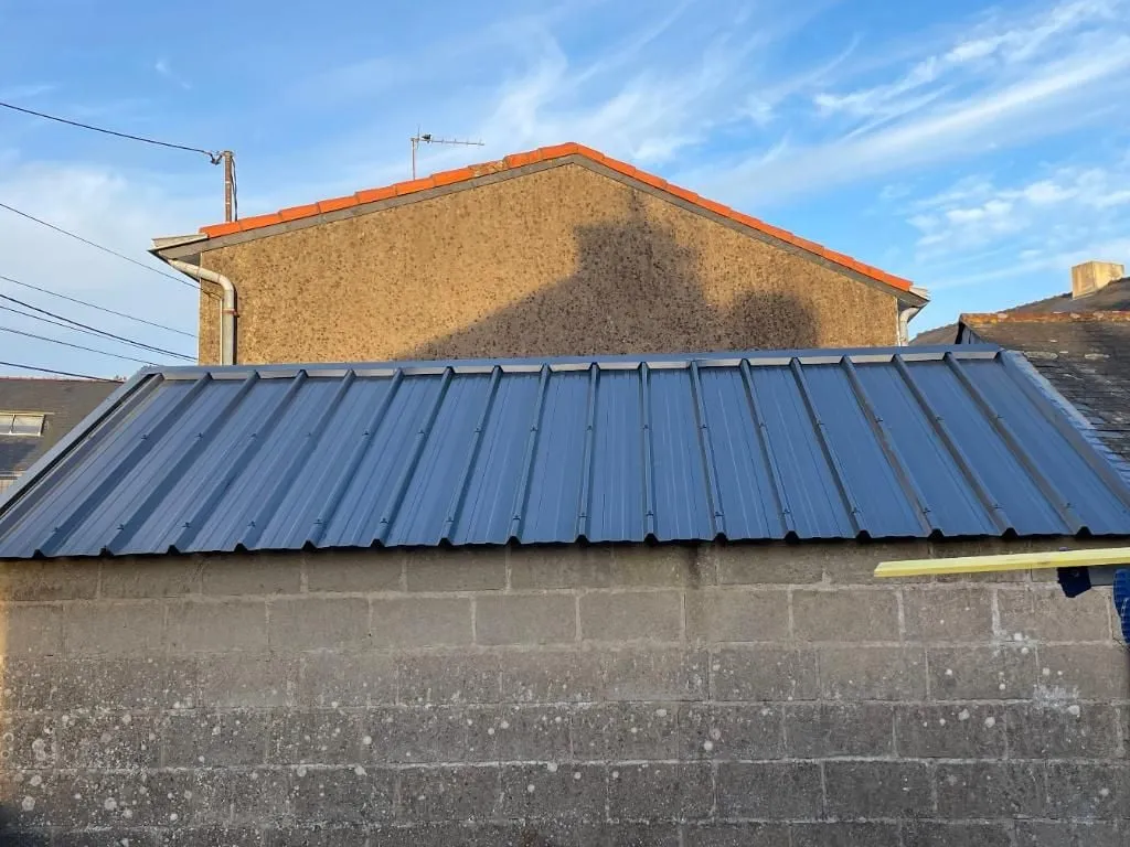 pose de velux saint michel chef chef